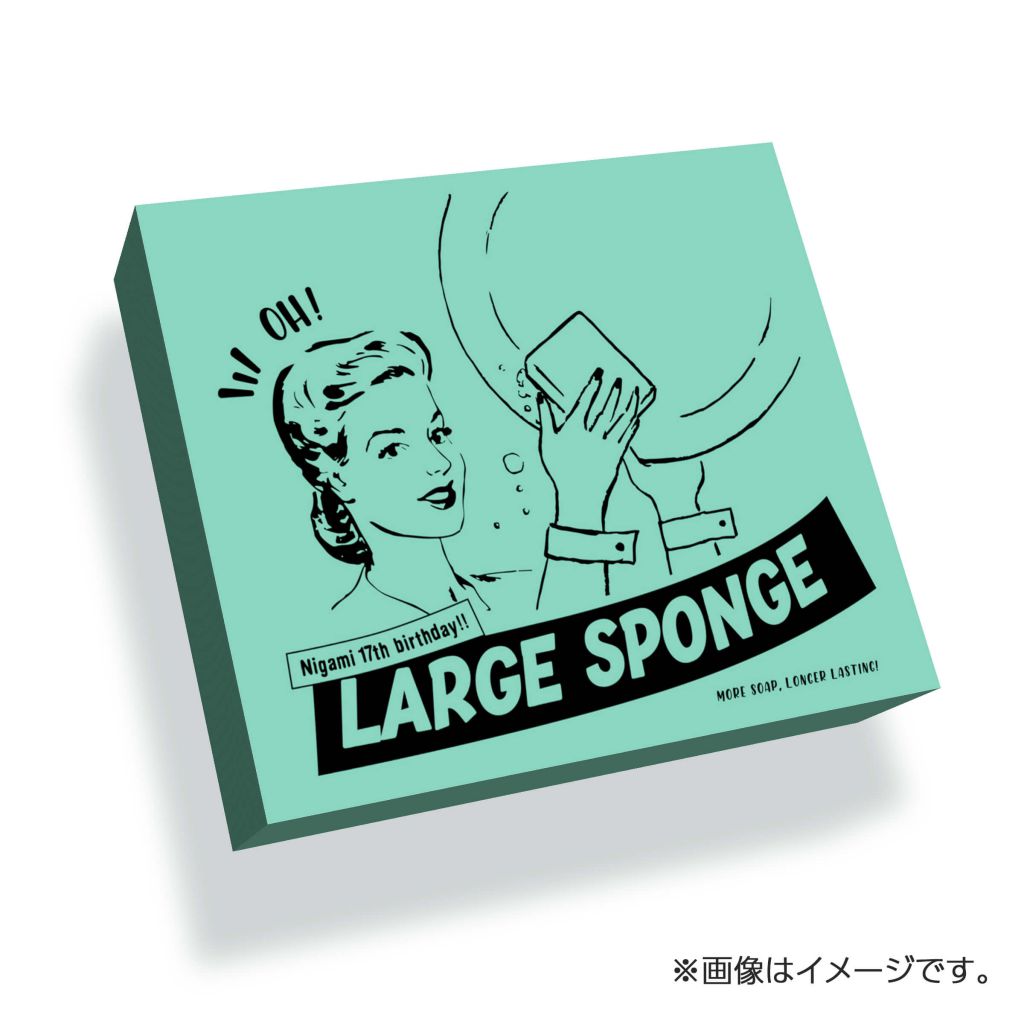大型食器用スポンジ風スポンジ イメージ画像